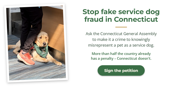 Stop fake service dog fraud in Connecticut – sign the petition