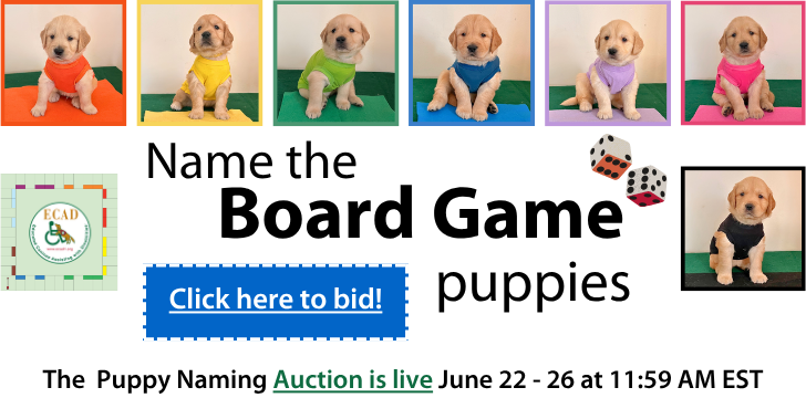 Board Games 3 2026 1