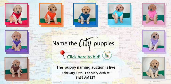 City litter 2 europe 1