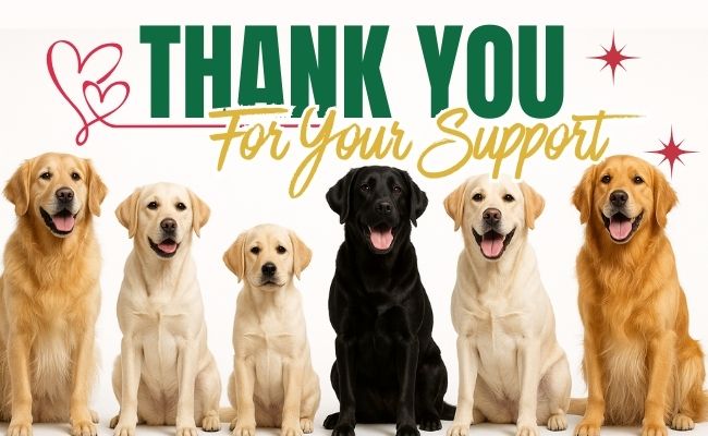 Donation Success Page Universal Header