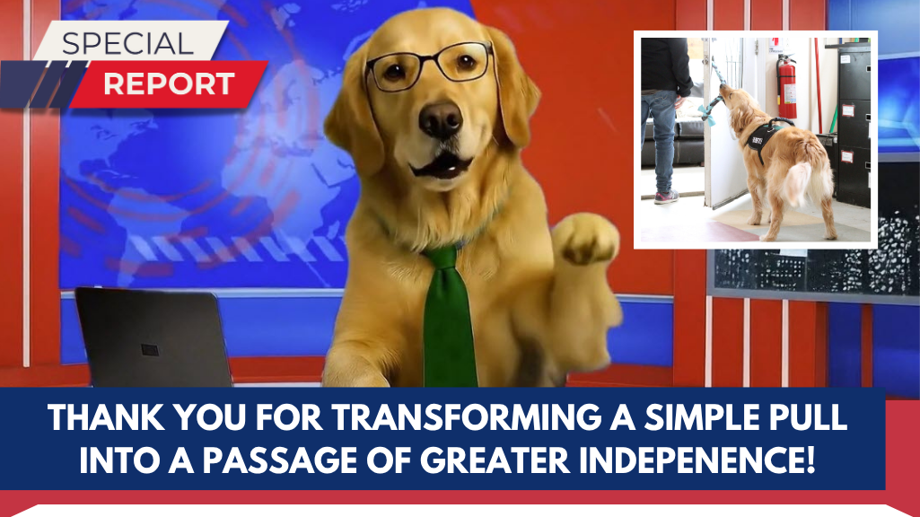 Everyday challenges become everyday victories with an ECAD Service Dog 1