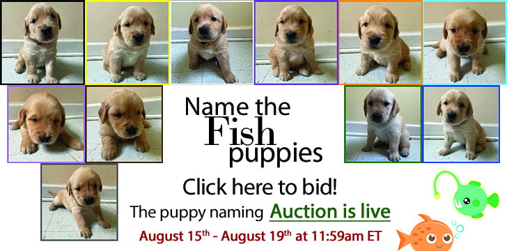 ECAD Puppy Naming Auction