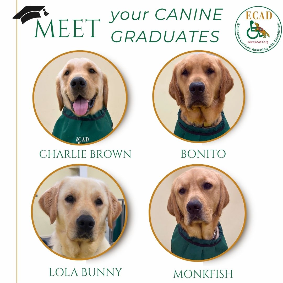 March 2026 Canine Grads 1