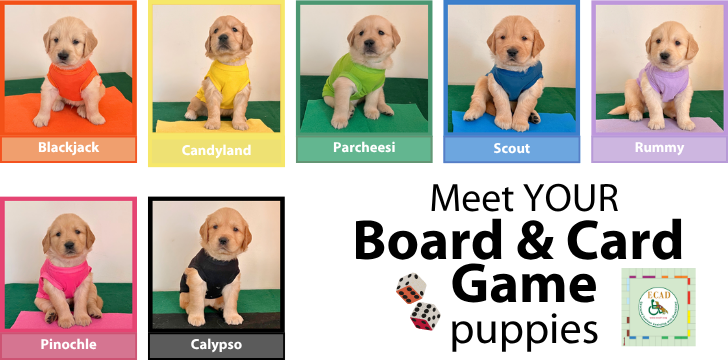 Meet the Board Games 3 2026 1