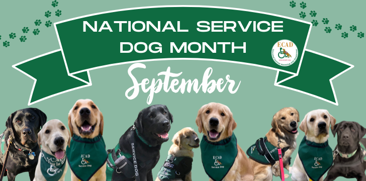 National SD Month 4