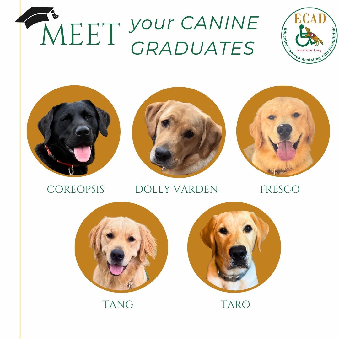 September 2026 canine grads