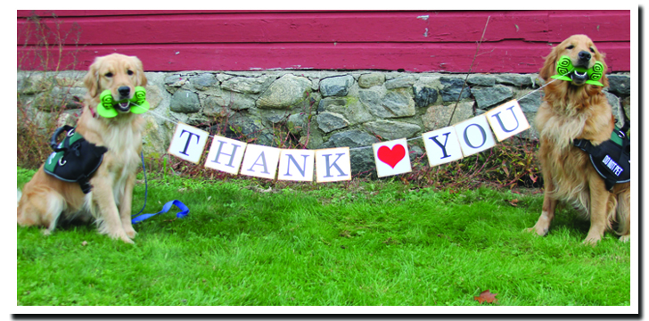Thank You website banner