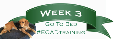 national service dog month Week3 GoToBed