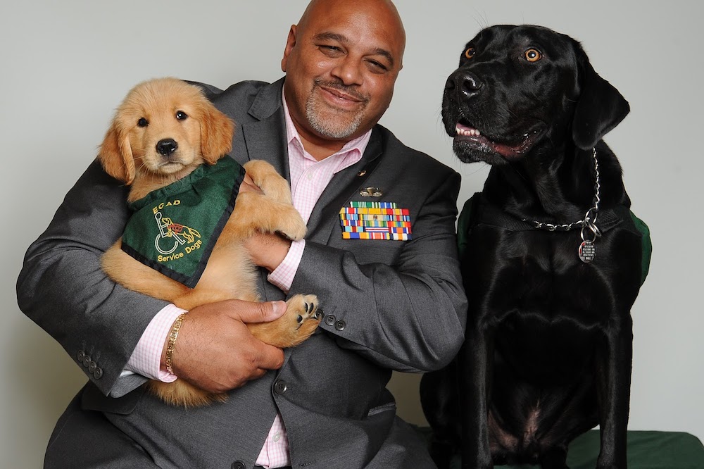service-dog-for-veterans.jpg